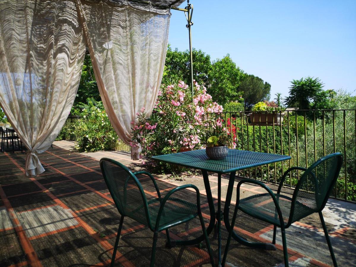 Saja Country House 아치레알레 외부 사진